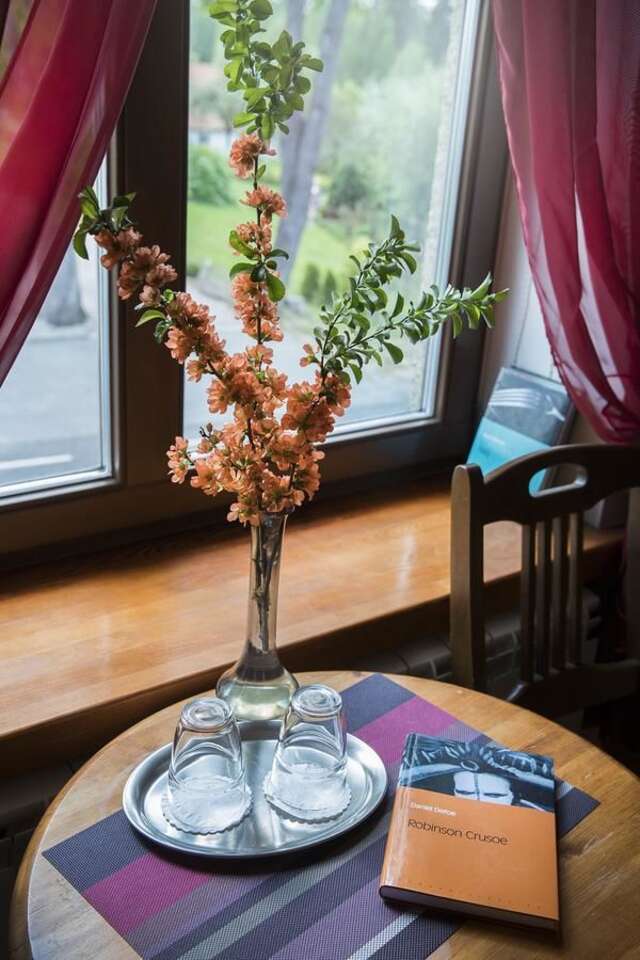 Мини-отель Veski Guesthouse Antsla-17